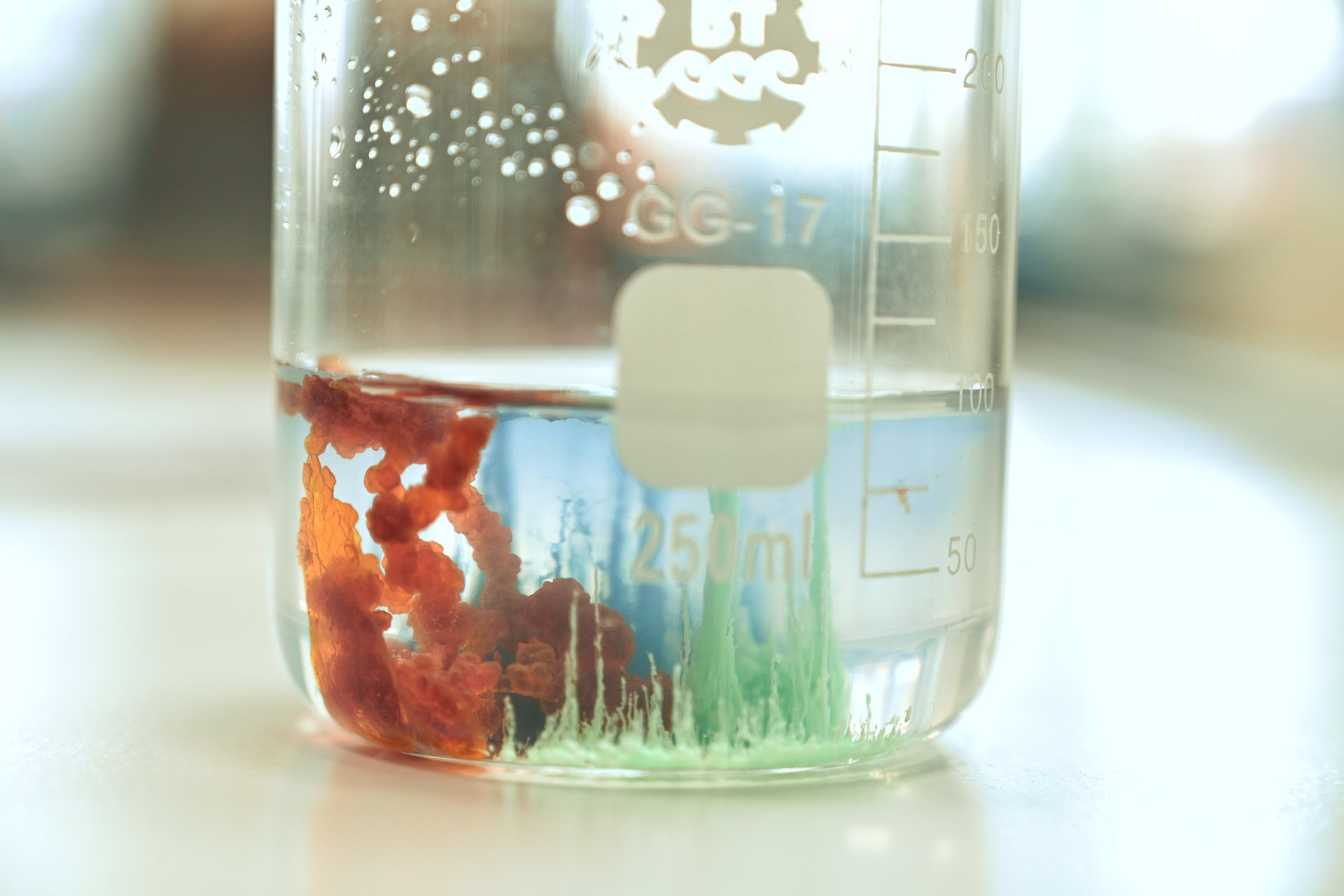 水中花园实验